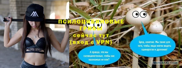 скорость Липки
